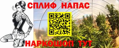 сатива Усть-Илимск