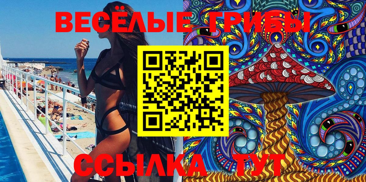 Псилоцибиновые грибы мухоморы Минеральные Воды