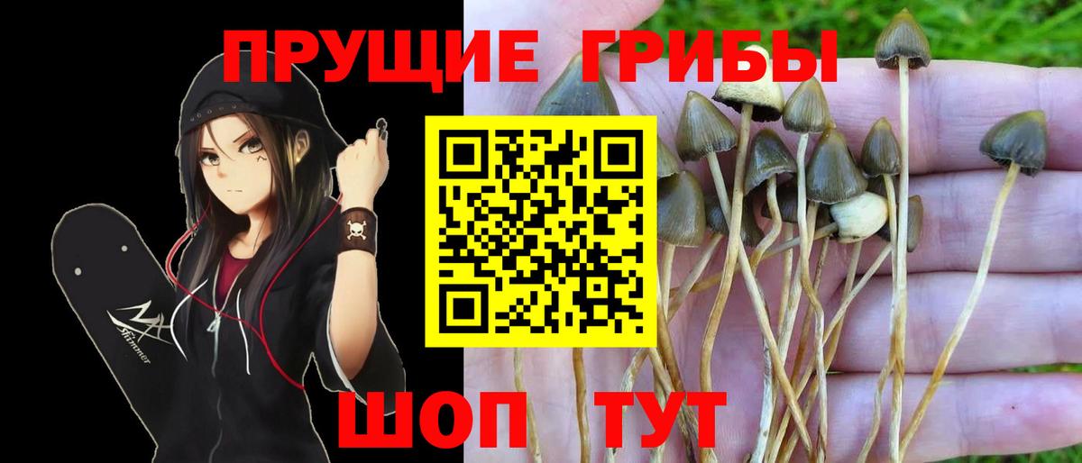 Галлюциногенные грибы MAGIC MUSHROOMS  Вход с VPN  Минеральные Воды 
